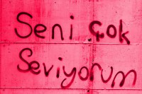 /album/seninicin/seni-seviyorum-jpg/